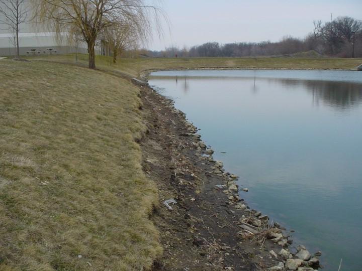 Example of an Eroded Shoreline